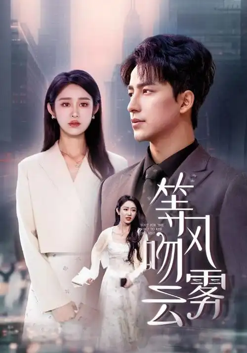 青瓦台记事热播电视剧全集